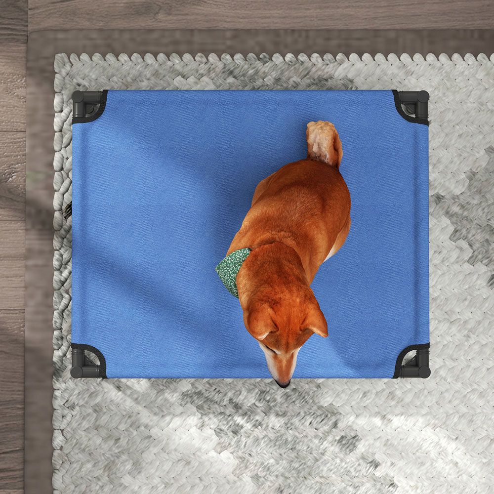 PawHut Blue Raised Foldable Pet Bed Image 3