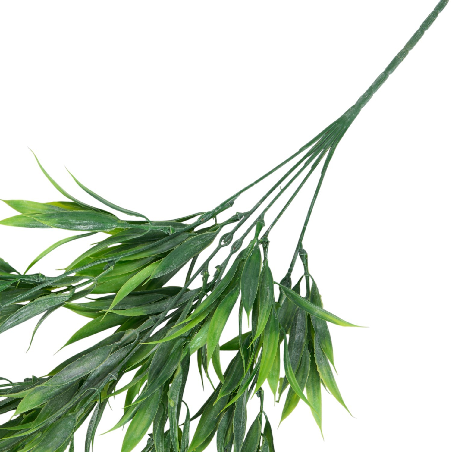 Hanging Wild Grass - Green Image 5