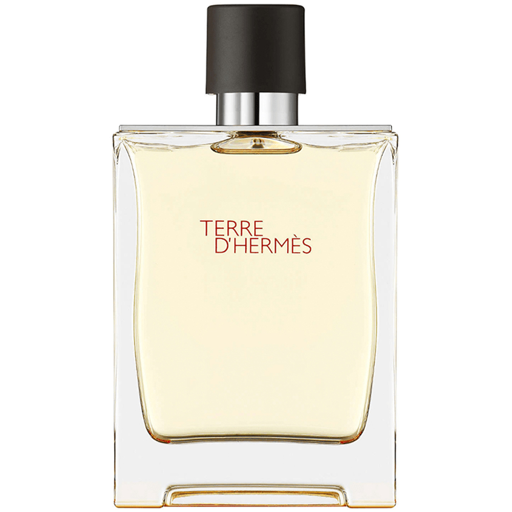 Hermes Terre d'Hermes Men Eau De Toilette Spray 100ml Image