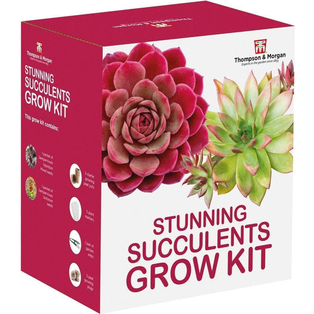 Thompson & Morgan Stunning Succulents Seed Grow Kit Image 1