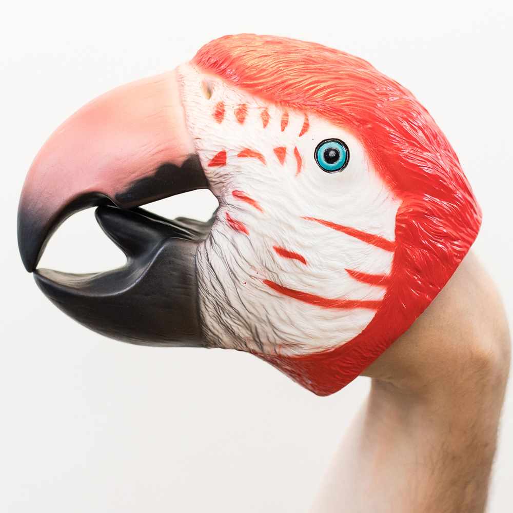 Wild Thingz Red Macaw Hand Puppet Image 8
