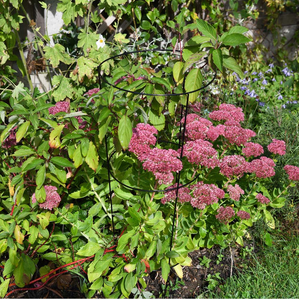 Garden Gear XL Conical Plant Support 75cm Image 2