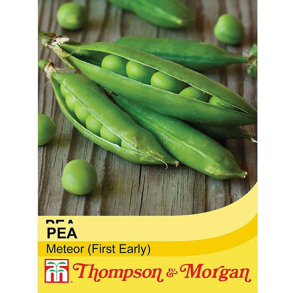 Thompson and Morgan Pea Meteor Seeds Image 2