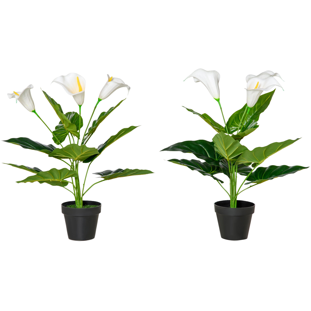Portland White Flower Calla Lily Artificial Plant In Pot 1.8ft 2 Pack Image 1