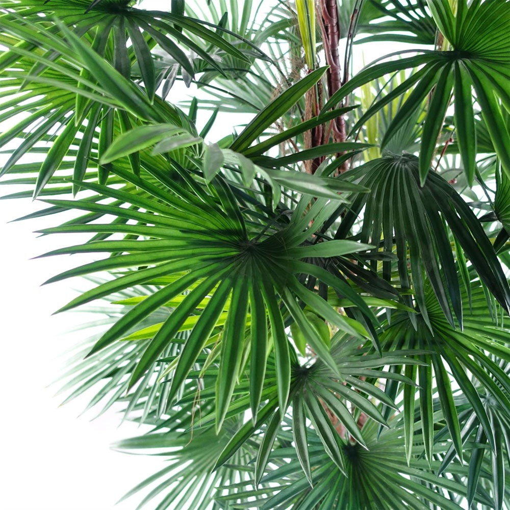 Botanik Fan Palm Artificial Tree in Pot 4ft Image 2