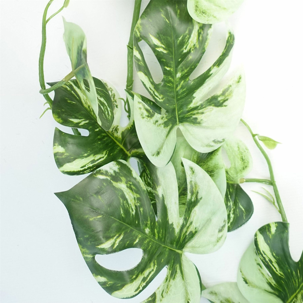 Leaf Trailing Variegated Monstera Hanging Artificial Plant 180cm Image 5