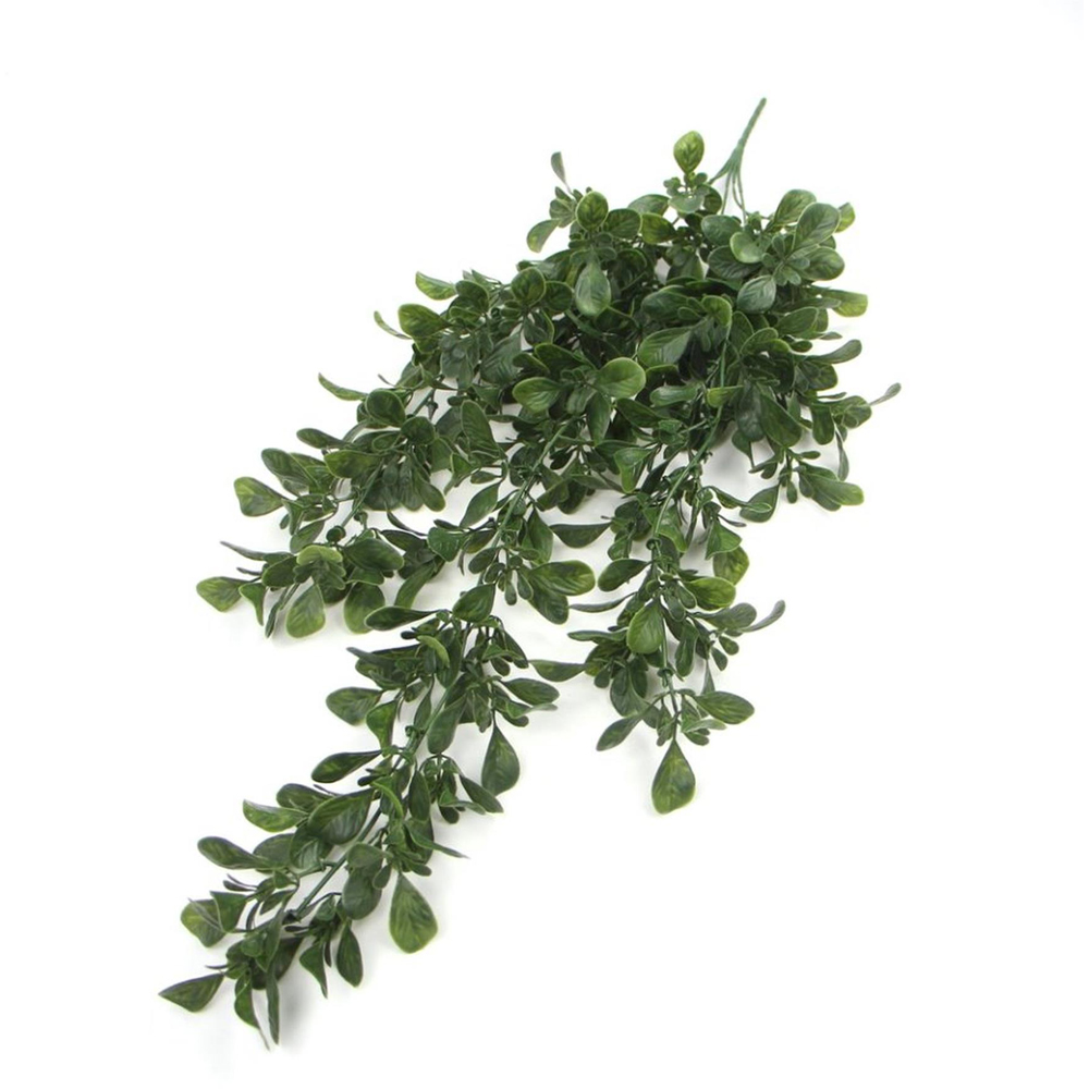 Leaf Peperomia Hanging Artificial Plant 2ft Image 2