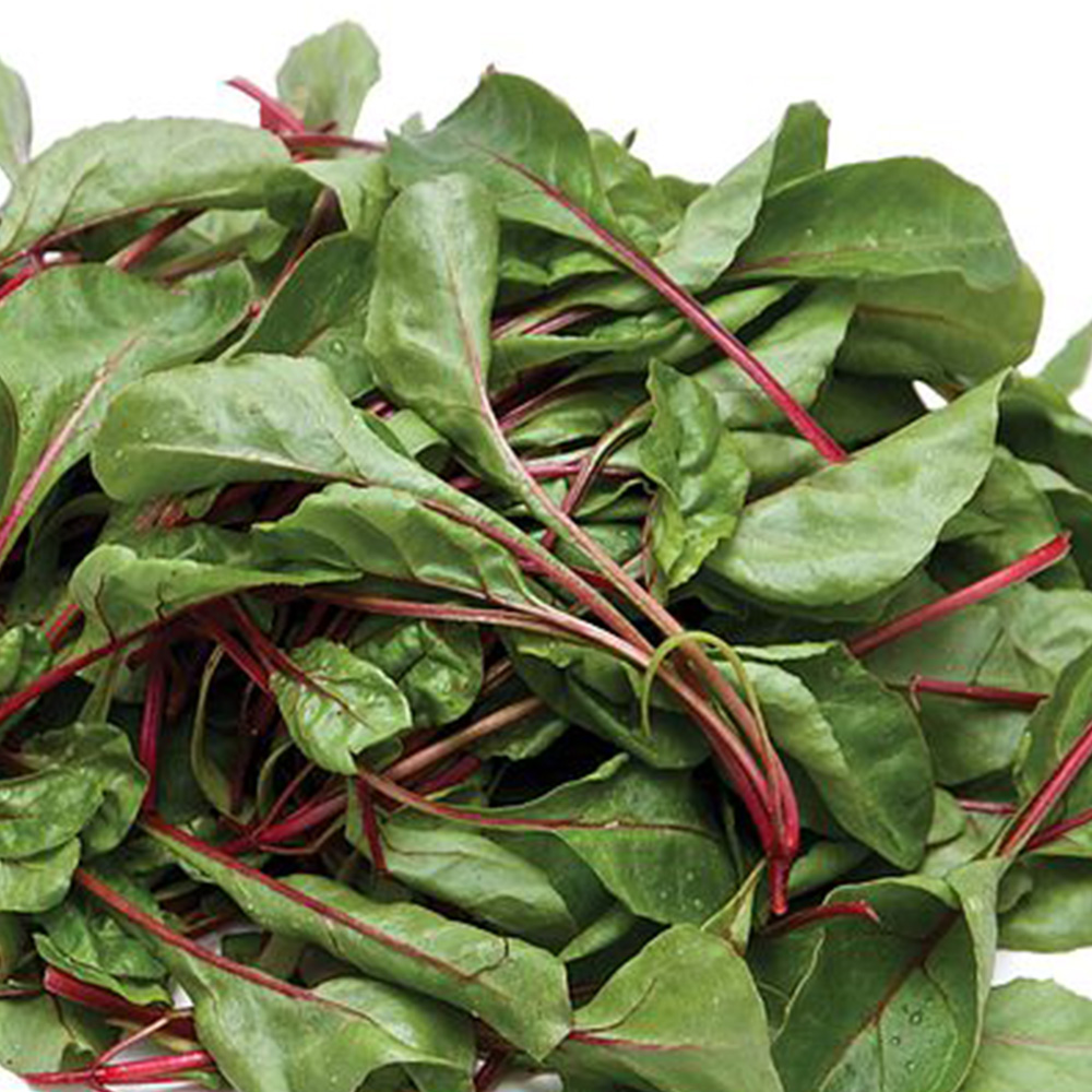 Thompson & Morgan Chard Fire Fresh Seeds Image 1