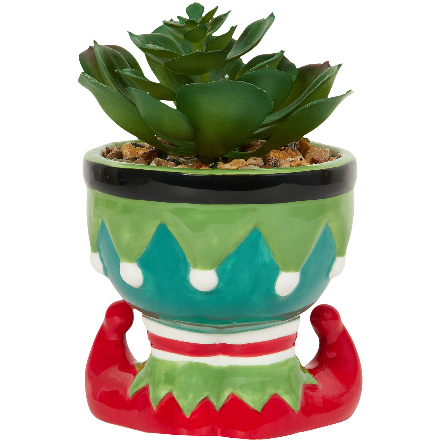 Novelty Christmas Succulent Image 6