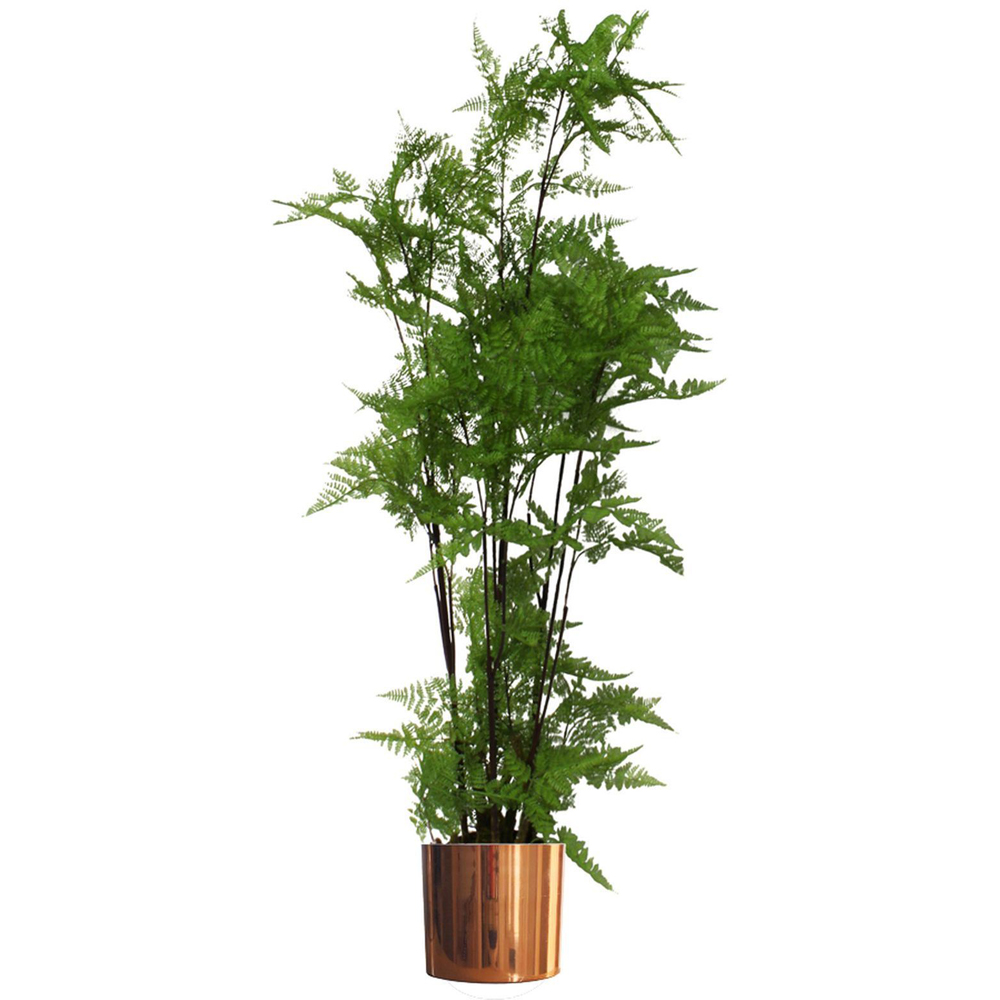 Leaf Polished Copper Metal Planter 20 x 18cm Image 5