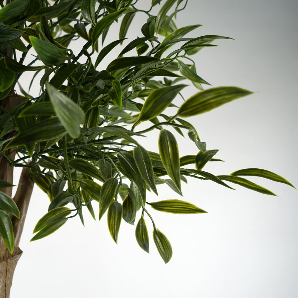 Botanik Japanese Ruscus Artificial Tree in Pot 5ft Image 2