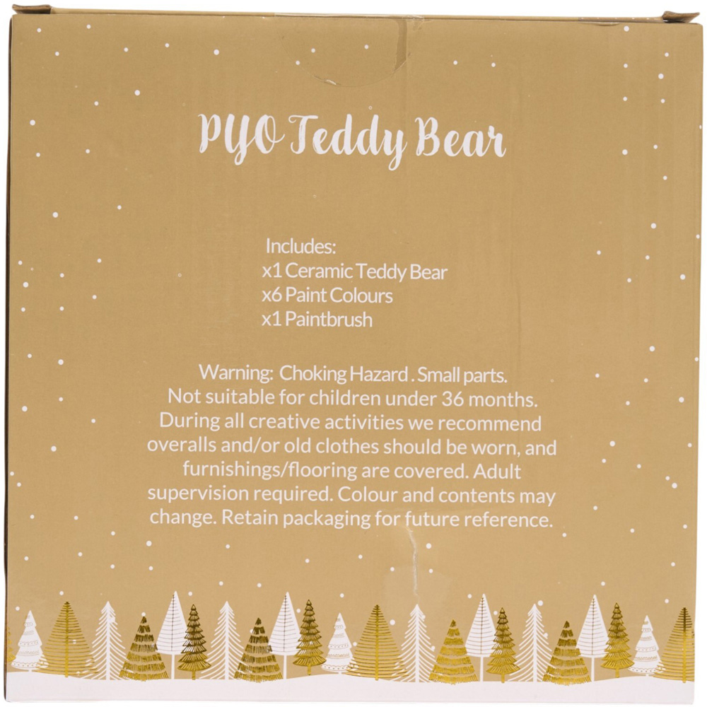 Paint Your Own Teddy Bear Kit Image 2