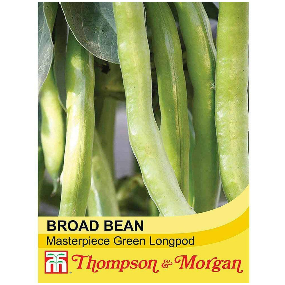 Thompson and Morgan Broad Bean Masterpiece Green Longpod Seeds Image 1