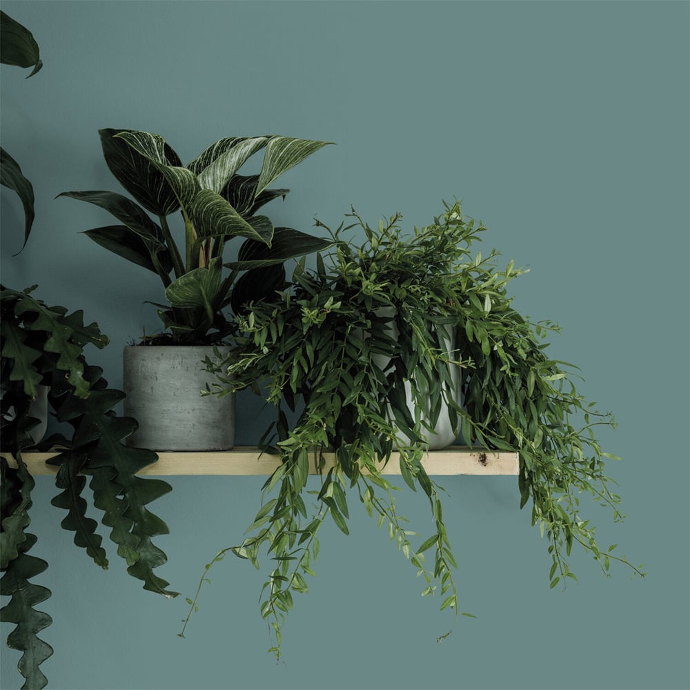 Crown Easyclean Matt Emulsion Paint - Botany Bay Image 5