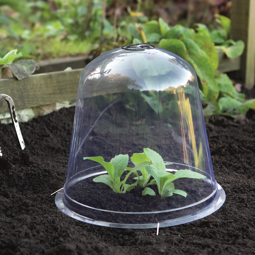Garden Gear Bell Cloche 33.5 x 30cm Image 2