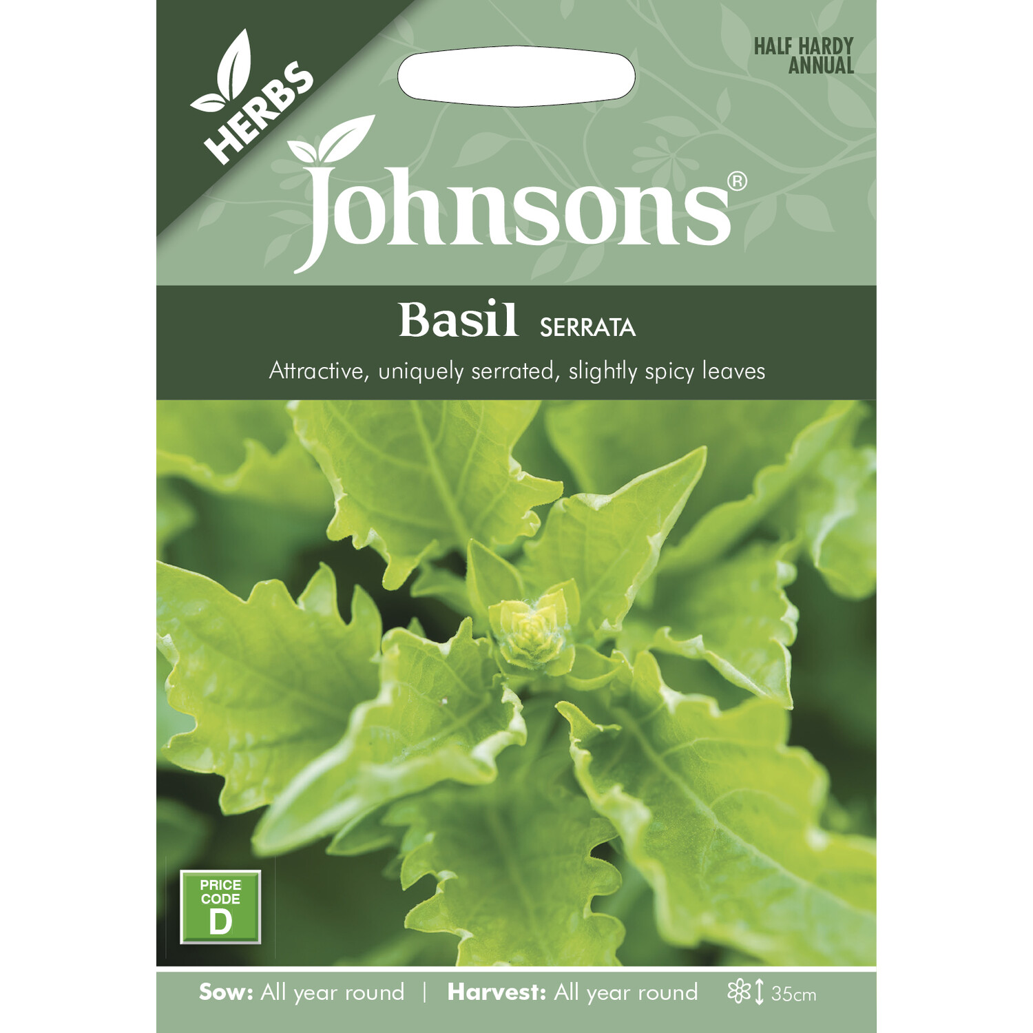 Johnsons Serrata Basil Vegetable Seeds Image 2