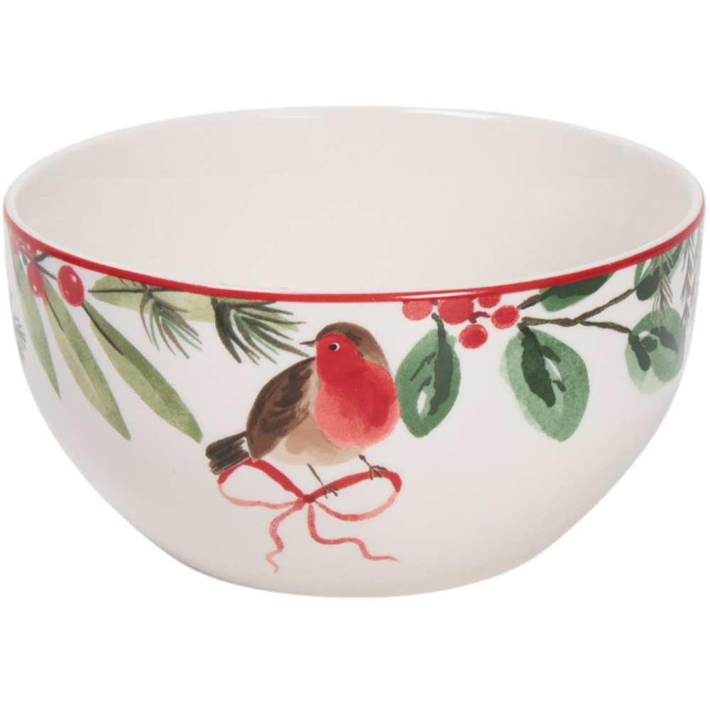 Festive Robin 12 Piece Dinnerware Set Image 4