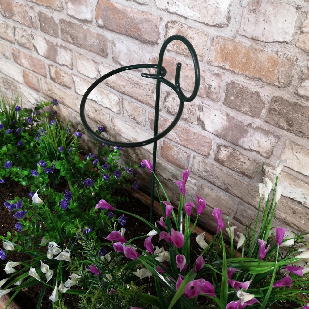 Samuel Alexander Tom Chambers Urban Black Metal Herbaceous Plant Support Ring 12 x 38cm 6 Pack Image 5