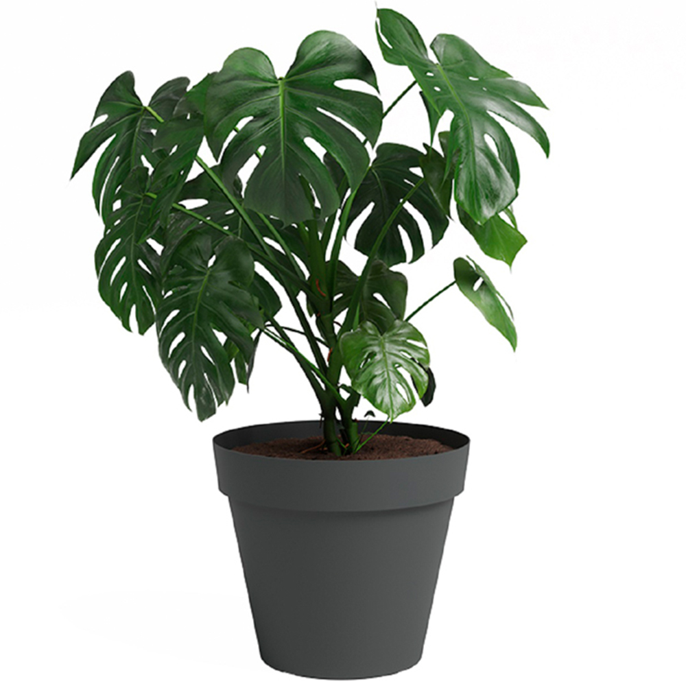 Artevasi Capri Anthracite Round Plastic Plant Pot 30cm Image 3