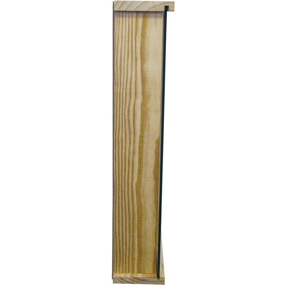 Watsons Exhibit 4 Shelf Natural Pine Glass Wood Wall Display Cabinet Image 4