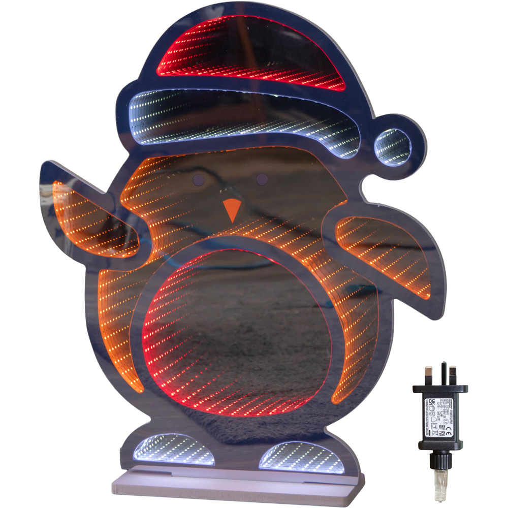 Samuel Alexander Multicolour Infinity LED Light Up Christmas Robin Christmas Decoration Image 2
