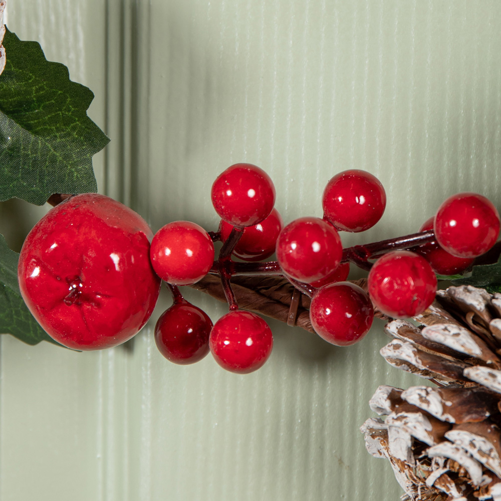 Samuel Alexander Wreath with Red Berries and Frosted Pinecones 45cm Image 5