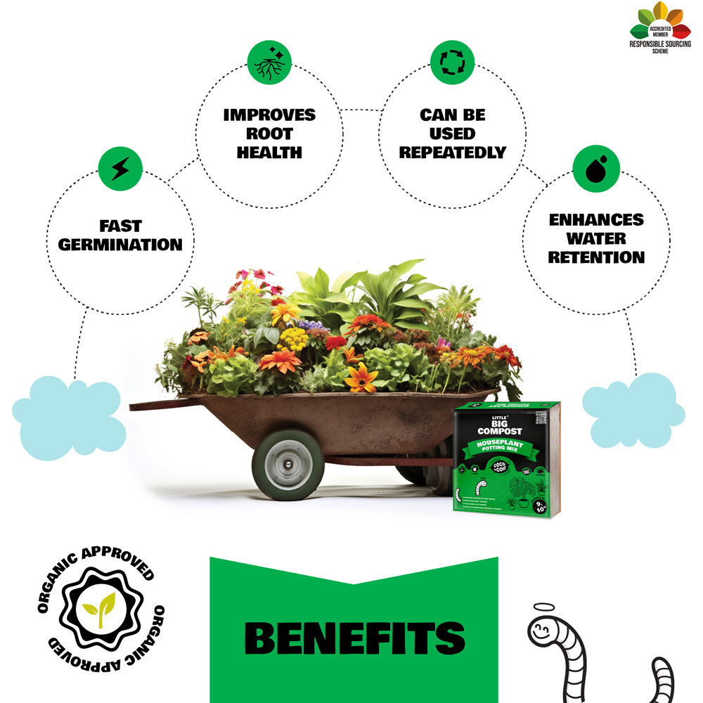 Coco & Coir Little Big Compost Houseplant Compost 9L Image 4