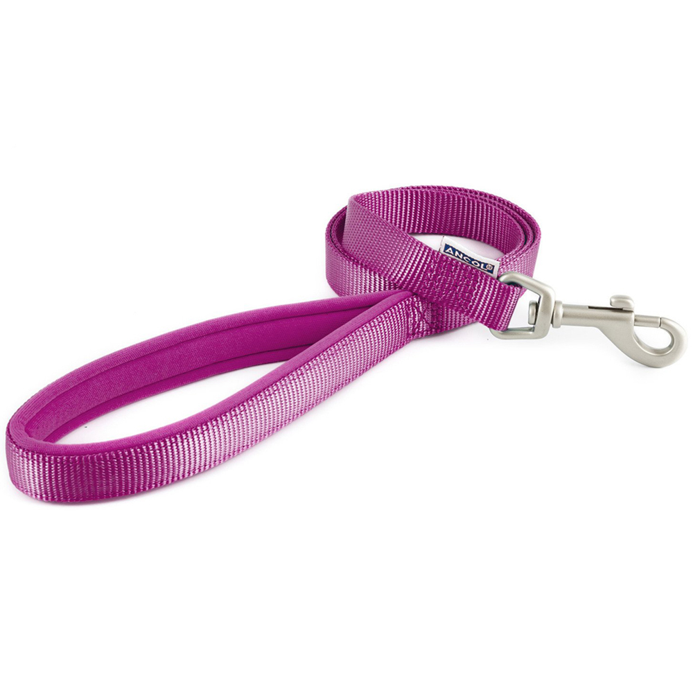 Ancol Padded Nylon Dog Lead - Purple / 1.9cm Image
