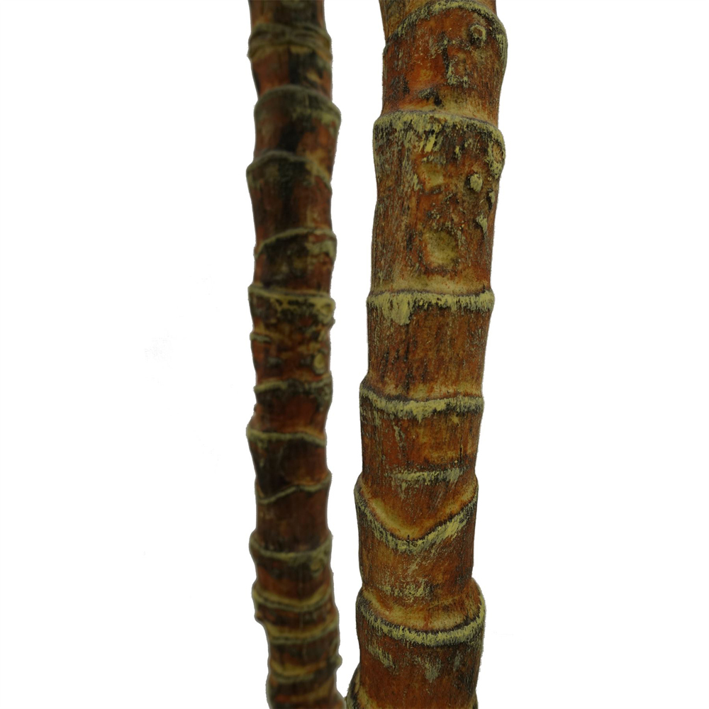 Botanik Tropical Yukka Artificial Tree in Pot 6ft Image 4