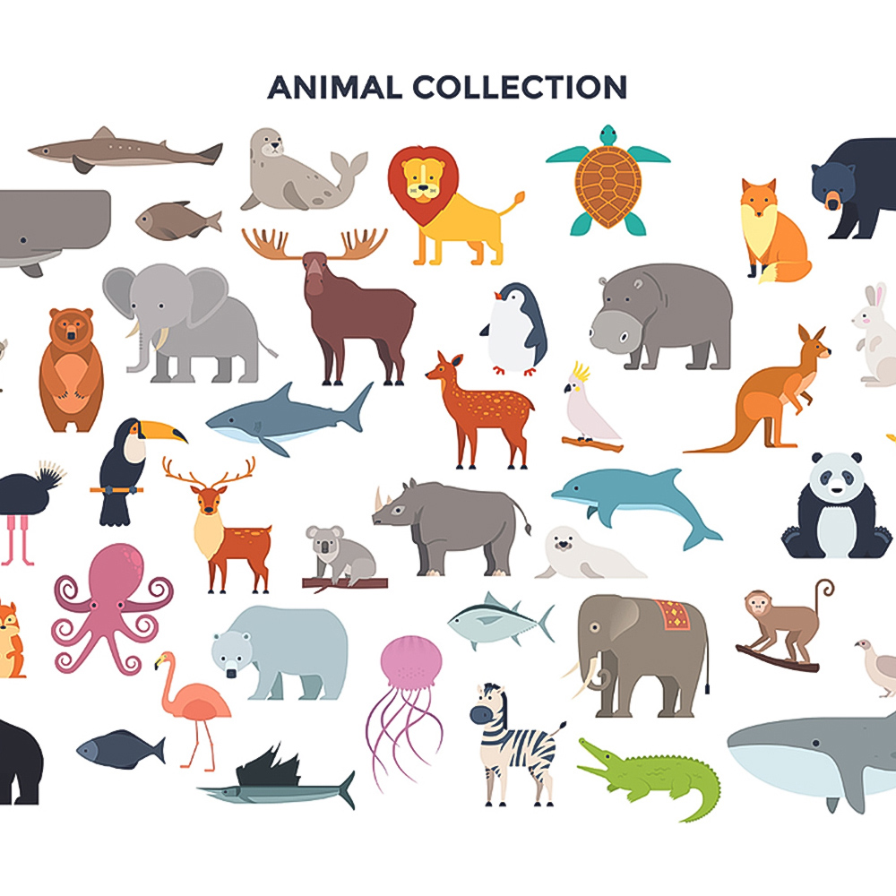 Origin Murals Animal Collection Multicolour Wall Mural Image 2