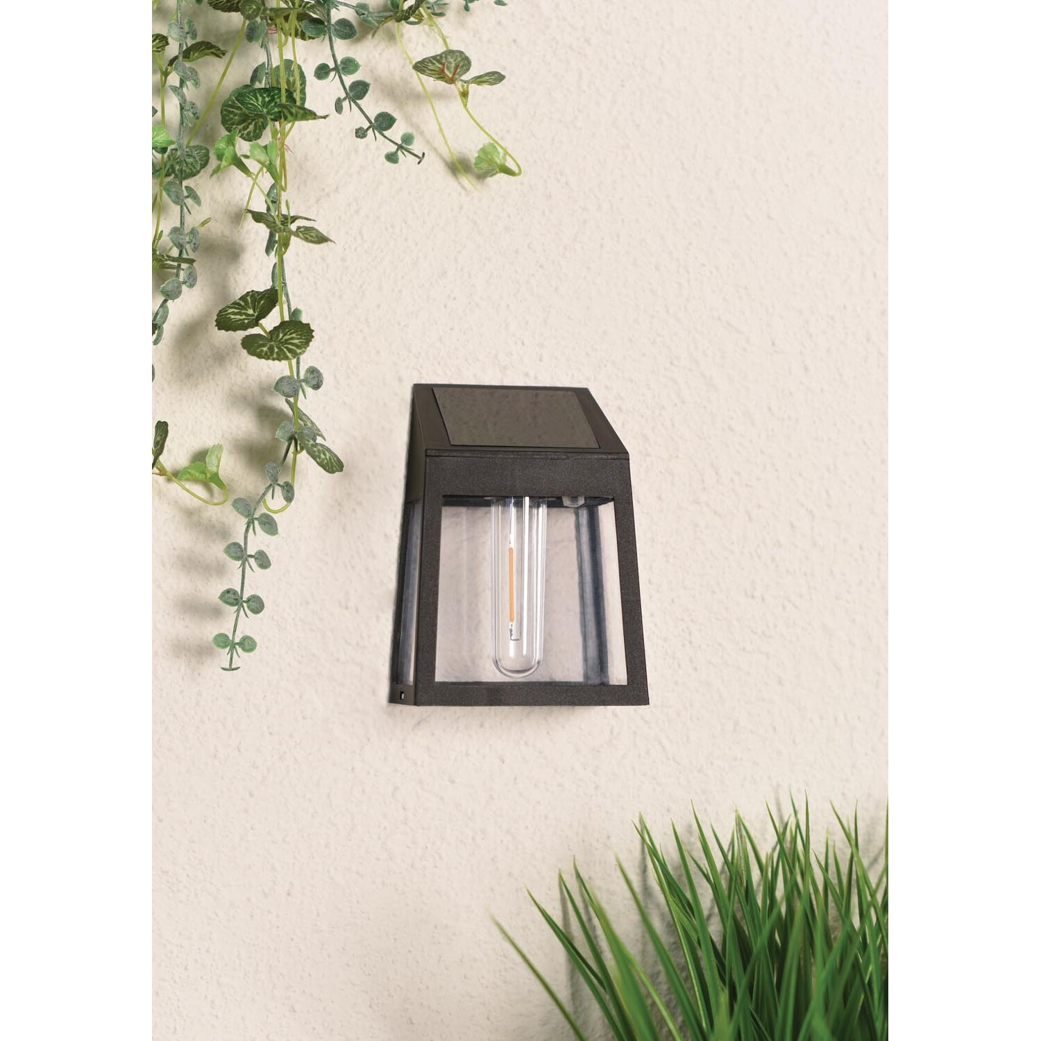Alexis Solar Filament LED Wall Light - Black Image 3