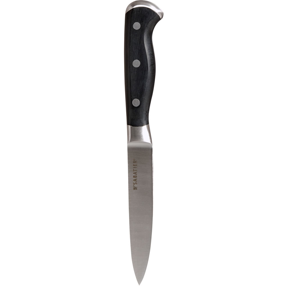 Sabatier Edge Keeper 4.5 inch Carving Knife Image