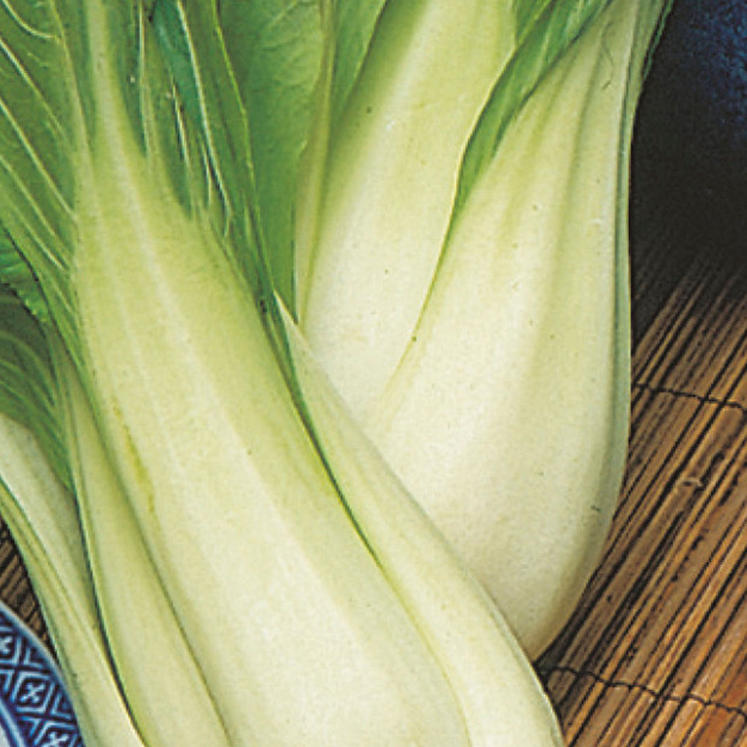 Johnsons Choko F1 Pak Choi Seeds Image 1