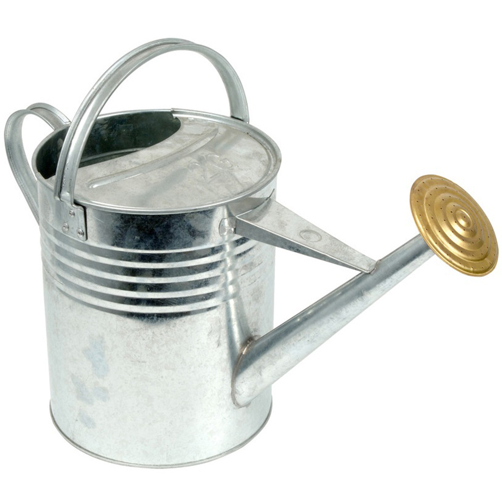 Arboria Garden Decor Galvanised Steel Silver Watering Can 9L Image 1