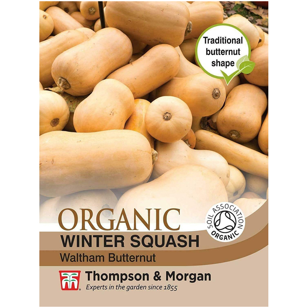 Thompson & Morgan Organic Squash Butternut Waltham Seeds Image 1