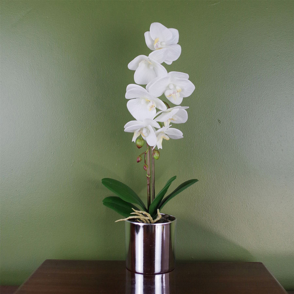 Botanik White Orchid Artificial Plant in Silver Pot 46cm Image 2
