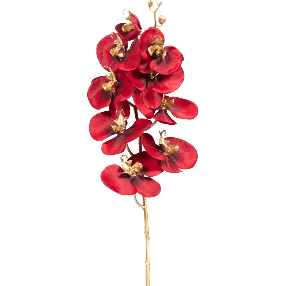 Shimmer Orchid Stem Image 7