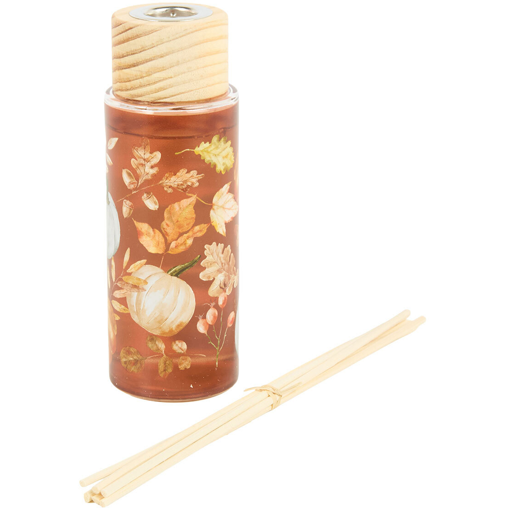 Autumn Pumpkin Reed Diffuser Image 2