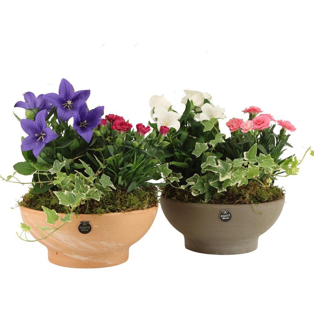 Flower Mix Terracotta Bowl Image 3