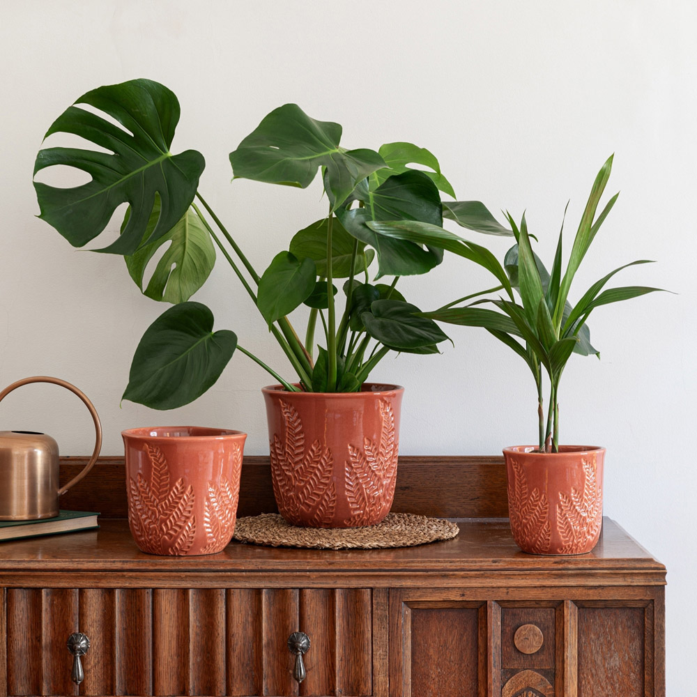 Ivyline Kew Rust Stoneware Fern Embossed Indoor Planter 18cm Image 2