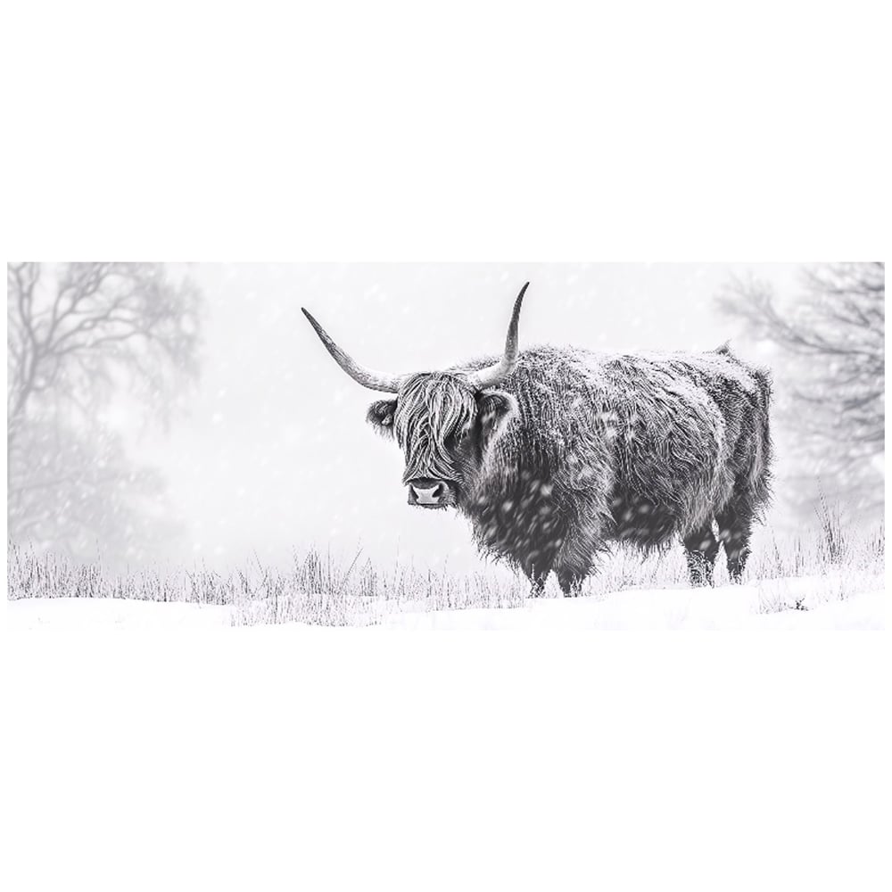 Warren Reed Designer Snowy Black and White Highland Cow Bathroom Splashback 25 x 60cm Image 2