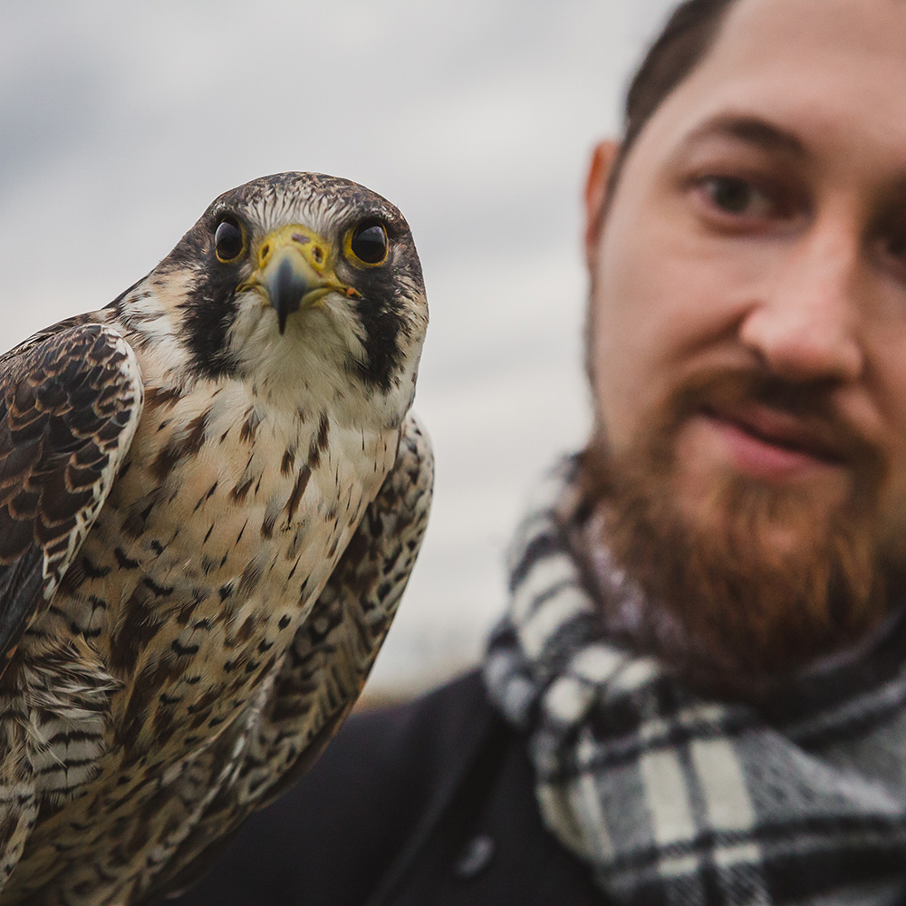 Activity Superstore 3 Hour Falconry Gift Experience Image 1