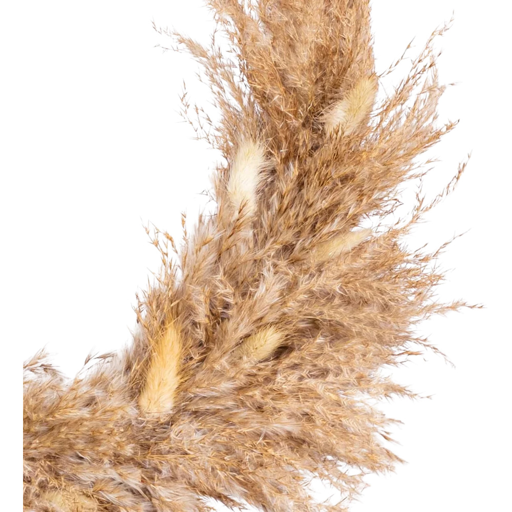 Marco Paul Natural Autumnal Harvest Pampas Artificial Wreath 2 Pack Image 4