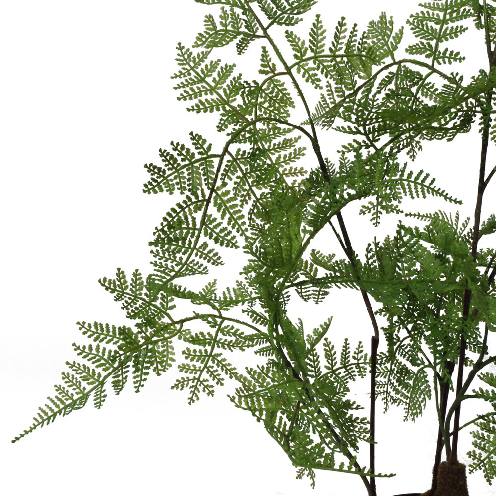 Botanik Moss Base Natural Fern Artificial Tree in Pot 3ft Image 5