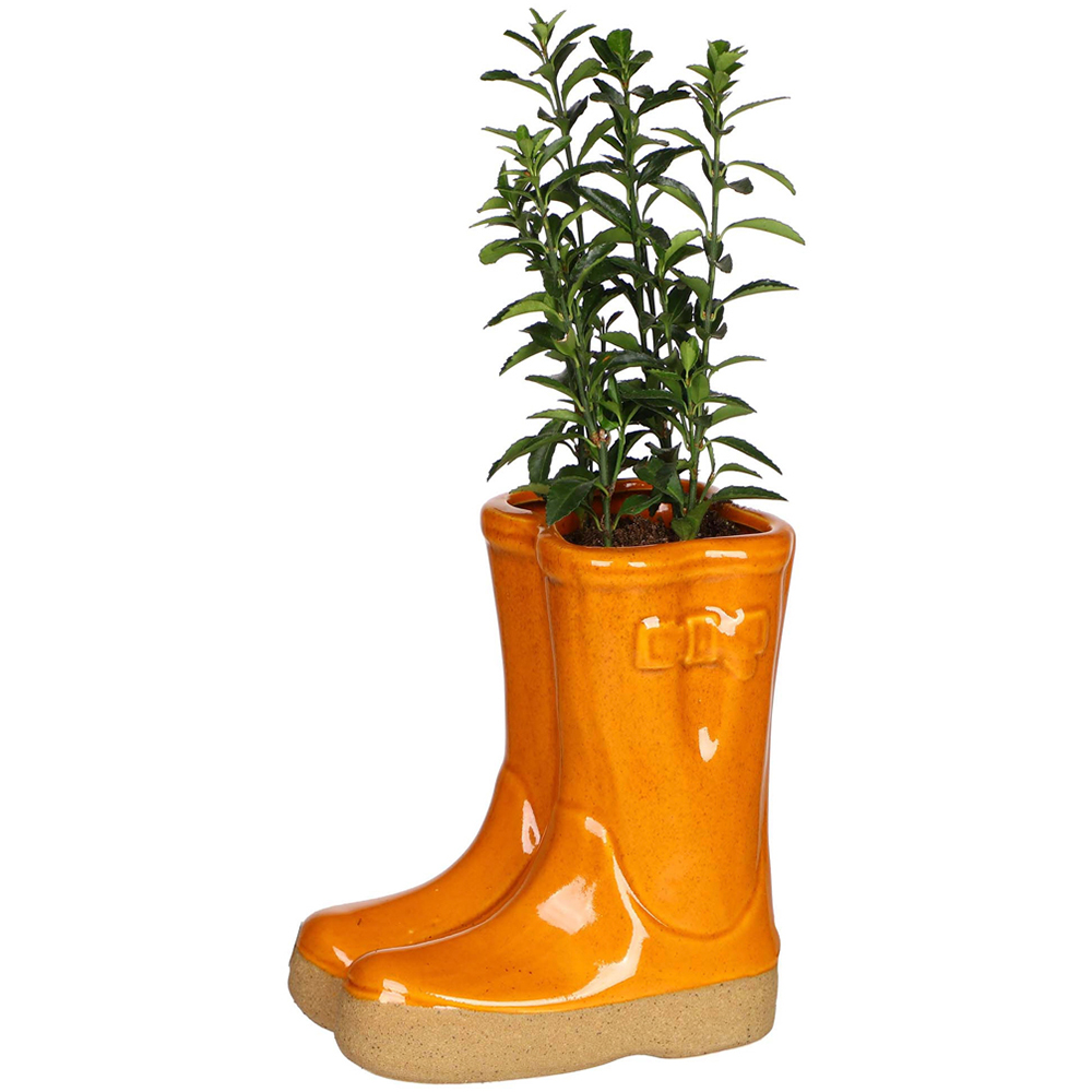 Dibor Orange Double Wellington Planter 17cm Image 1