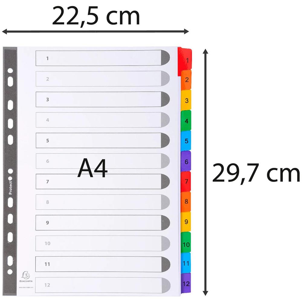 Exacompta A4 White 1-12 Divider with Multicolour Tabs 20 Pack Image 6