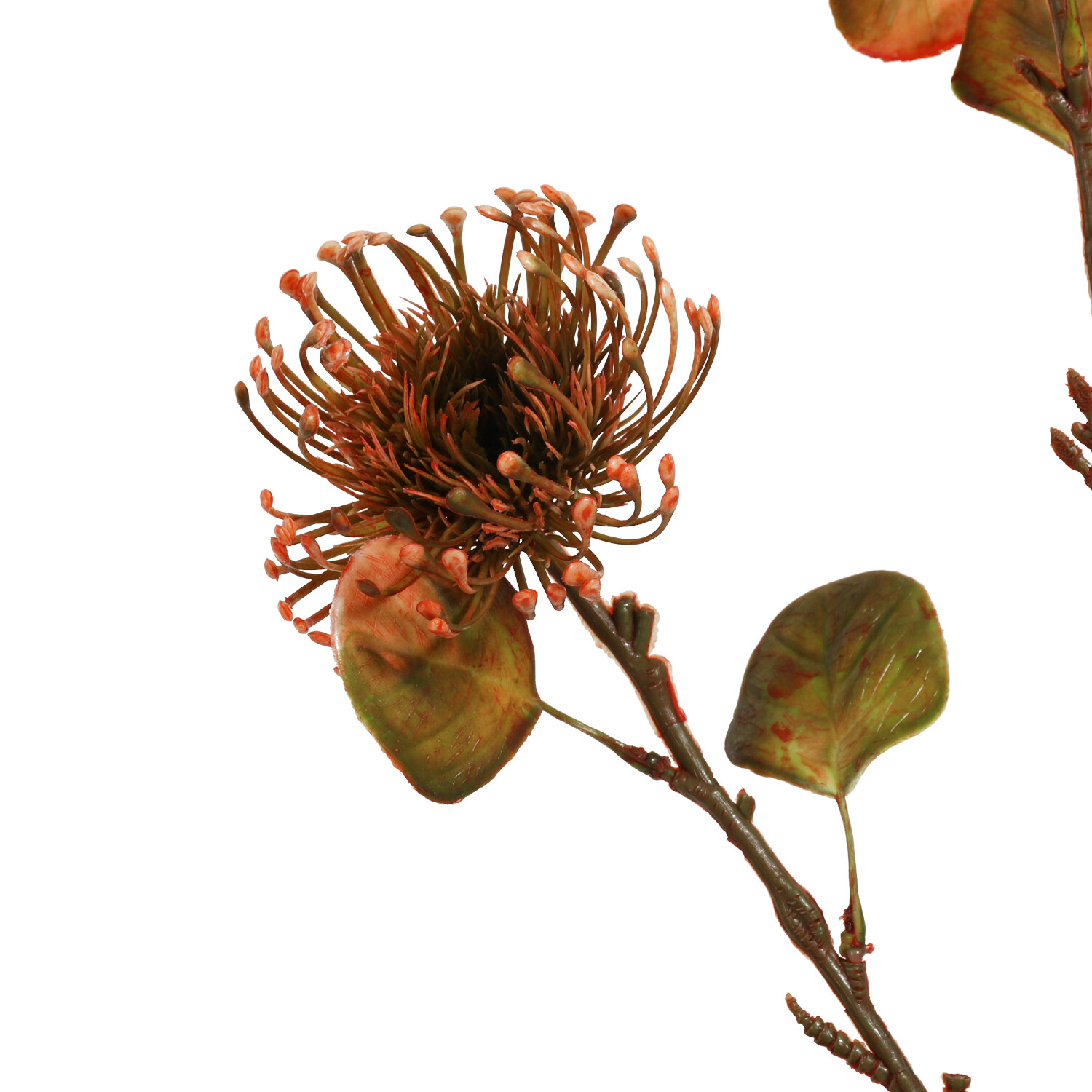 Warm Honey Thistle Stem - Orange Image 3