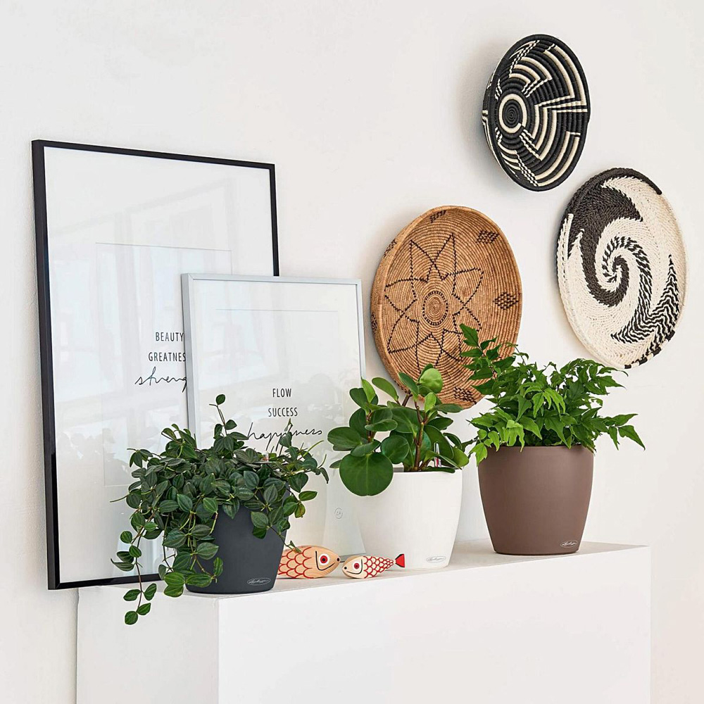 Lechuza Classico Sand Brown Poly-Resin Self-Watering Planter 19cm 3 Pack Image 5