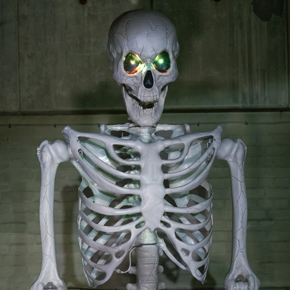 Samuel Alexander LED Posable Full Body Skeleton Halloween Decoration 10ft Image 8