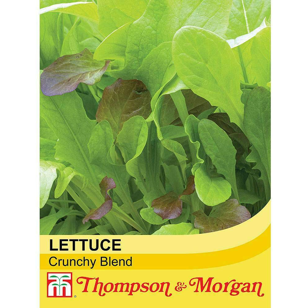 Thompson & Morgan Crispy Lettuce Salad Leaves Blend Seed Packet Image 2